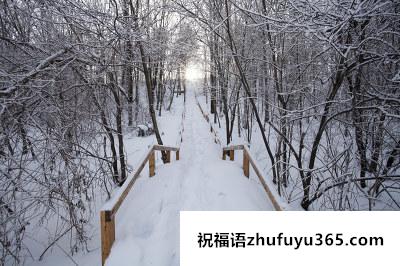 雪景句子唯美简短